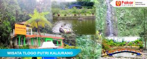 WISATA TLOGO KALIURANG