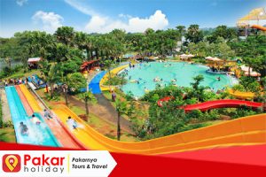 Paket Wisata The Jungle Murah 2022