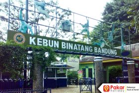 Kebun Binatang Bandung-pakarholiday