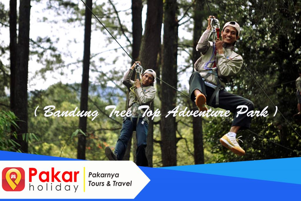 Bandung Tree top adventure park