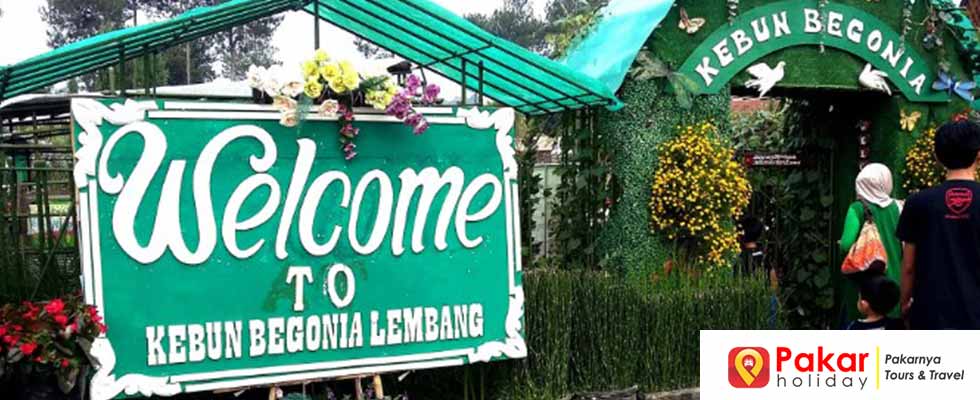 Info Lengkap & Jalan ke Taman Bunga Begonia Bandung