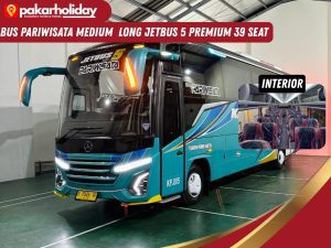 bus medium premium 35 seat